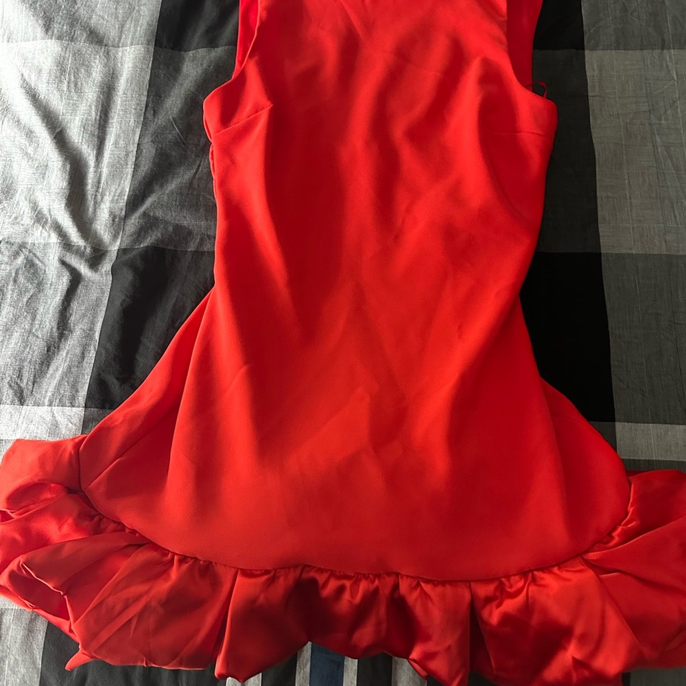 Chic Scarlet Ruffle Mini Dress - Picture 2 of 3